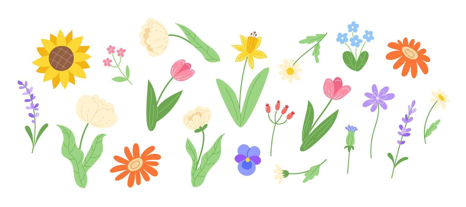 Set of spring flowers in a flat style isolated on a white background vector