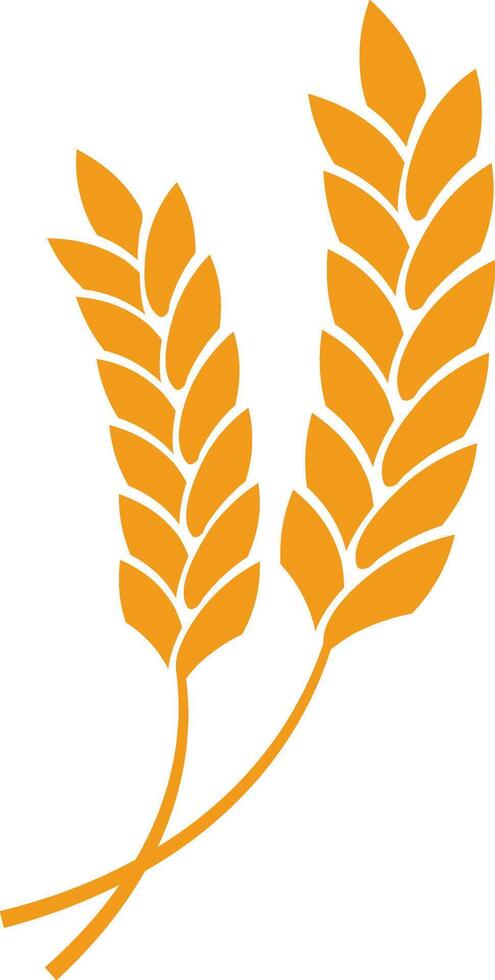 Two stylized wheat stalks in a vibrant golden orange hue crossing each other to form an X shape against a clean white background, symbolizing growth and harvest vector