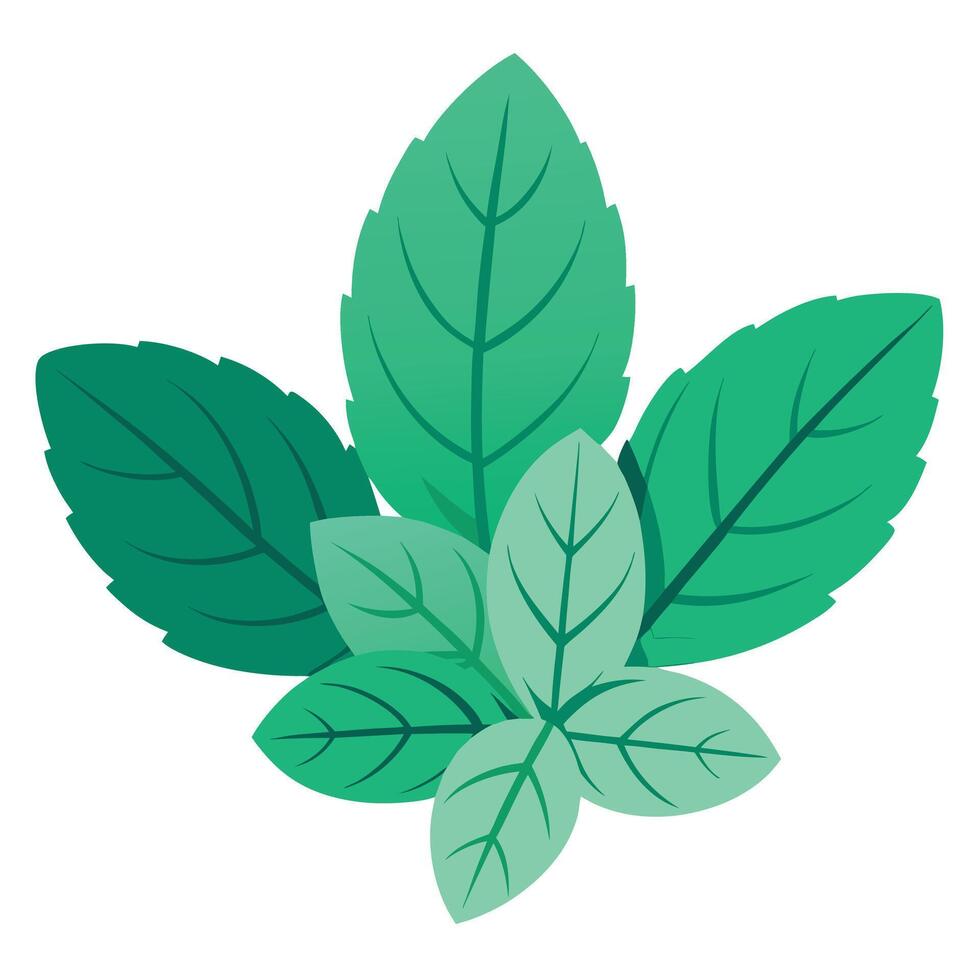 A green leaf with leaves on it vector