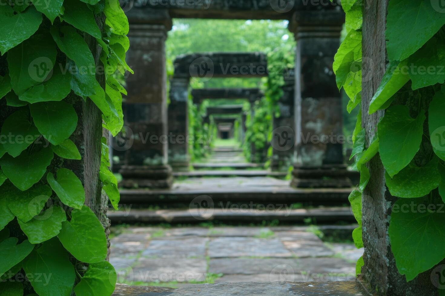 ancient architecture with ivy and green leaves photo