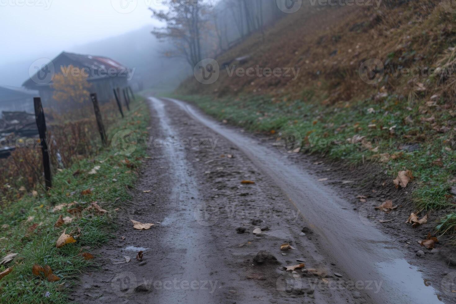 Rural road in foggy autumn day. Foggy weather. photo