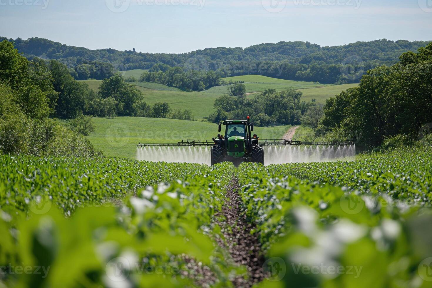 Tractor Spraying Crops on a Farm Field for Agricultural Use and Analysis photo