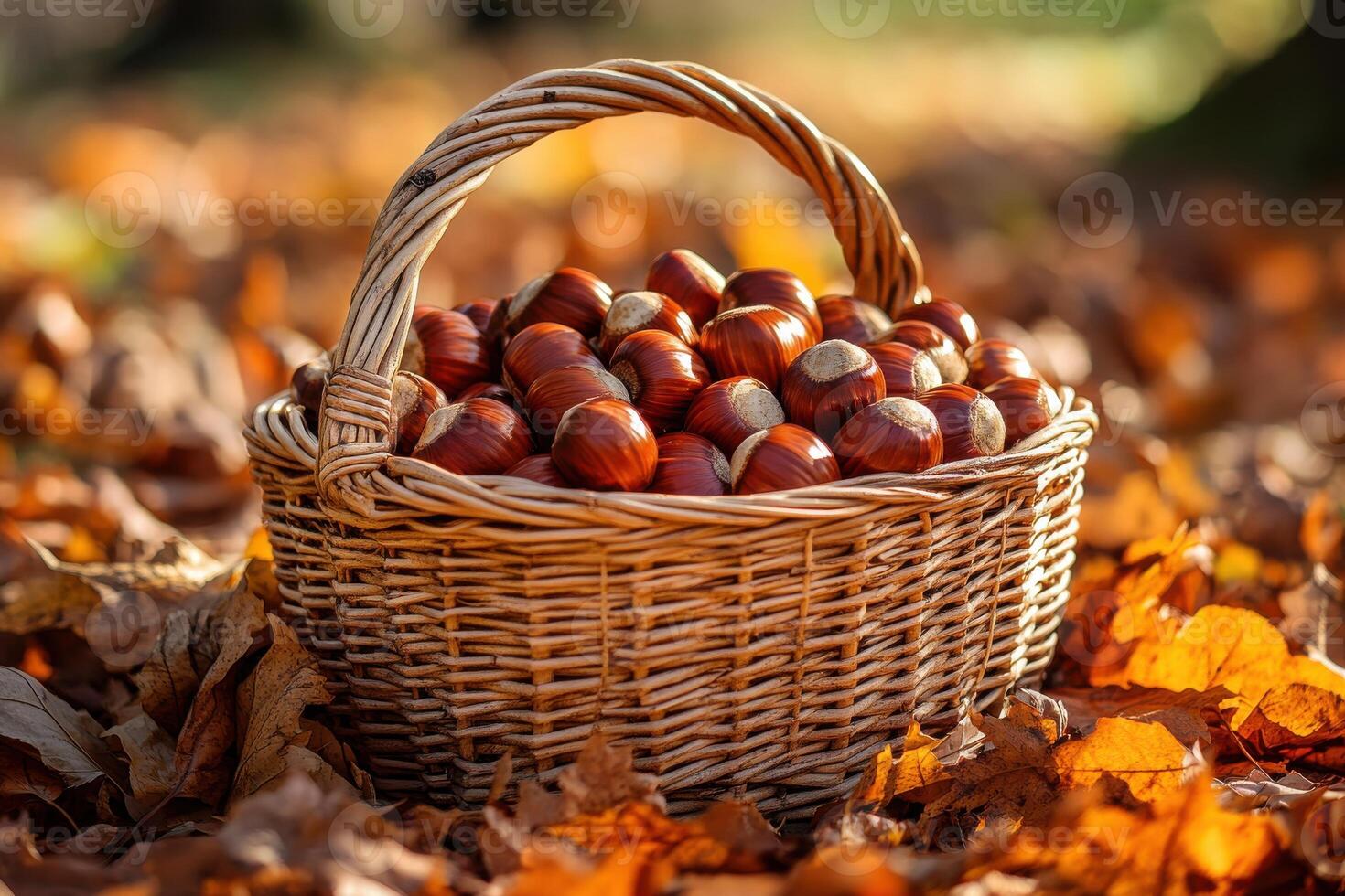 Wicker Basket Filled with Chestnuts Perfect for Autumn Recipes and Crafts photo