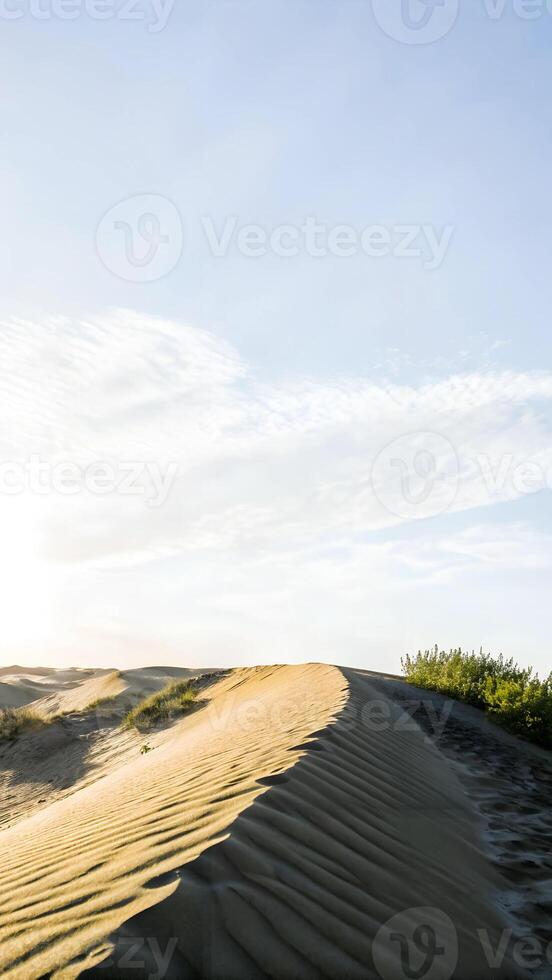 Sand dunes under a clear blue sky with a few wispy clouds, featuring sparse green vegetation at the base of the dunes photo