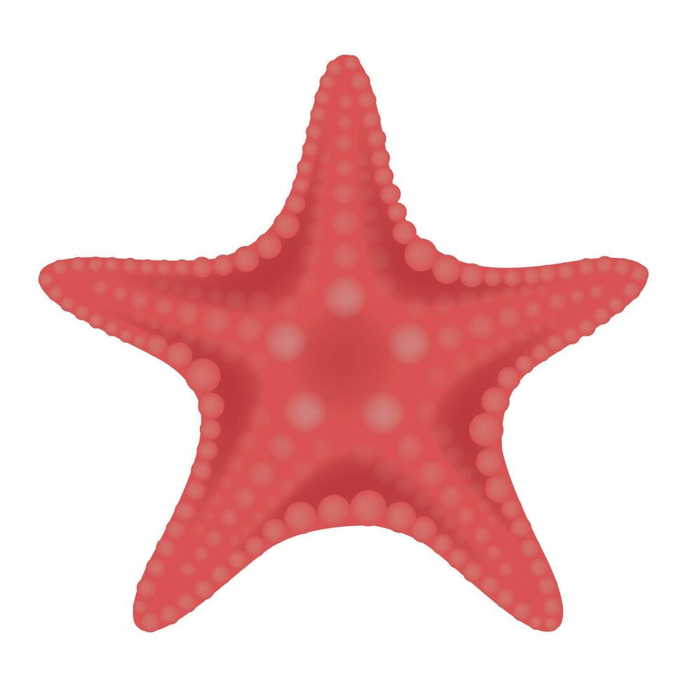 red starfish on white background vector