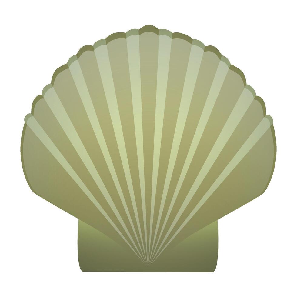 green ribbed sea shell on white background vector