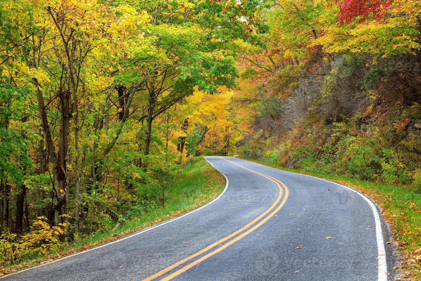 Tennessee, USA, 2025 - Winding Road in the Fall photo