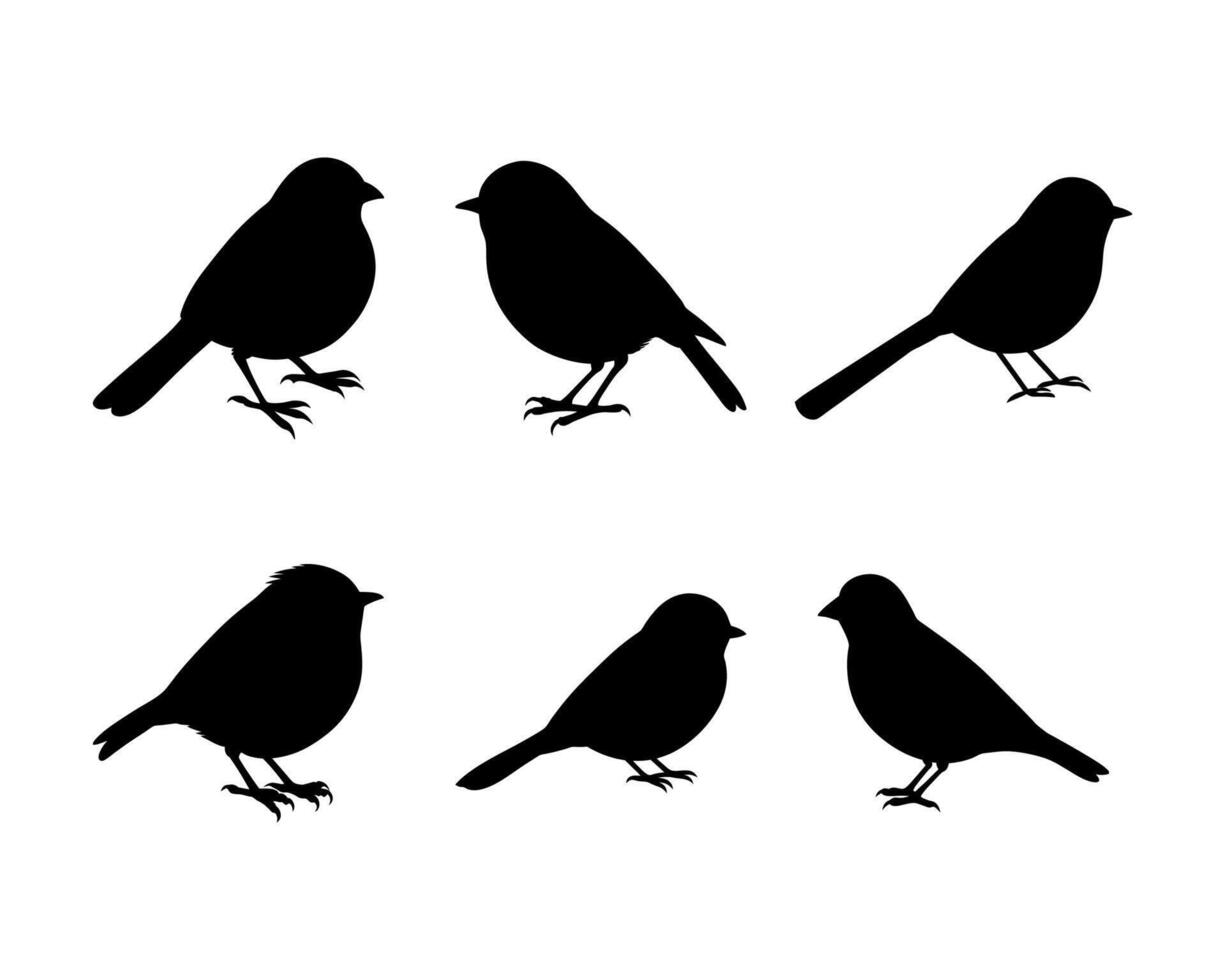 Unique Bird Silhouette graphics vector