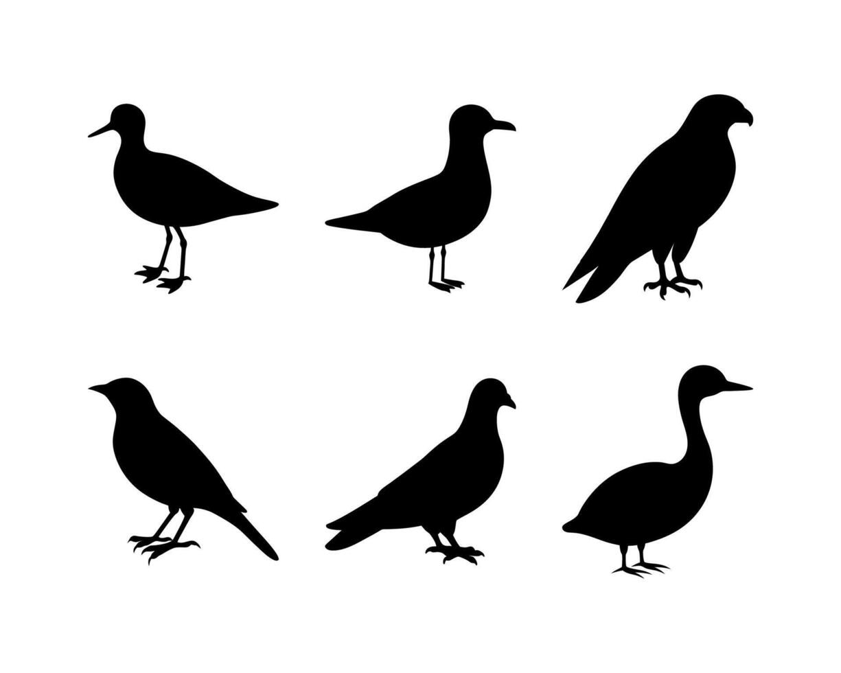 Beautiful bird silhouette illustrations vector