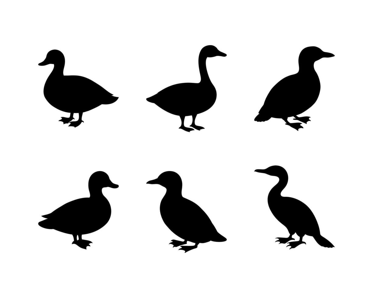Beautiful variation of duck silhouette designs vector