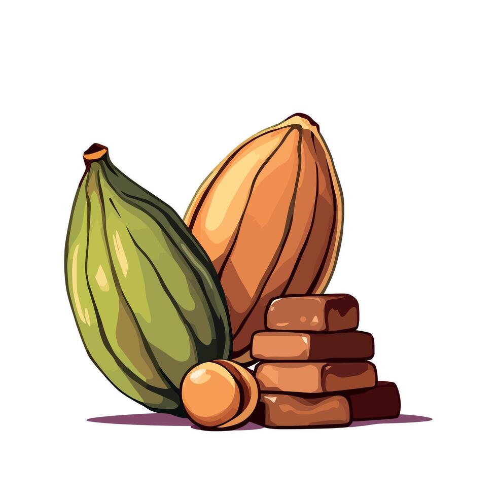 Cocoa beans and chocolate bars illustration vector