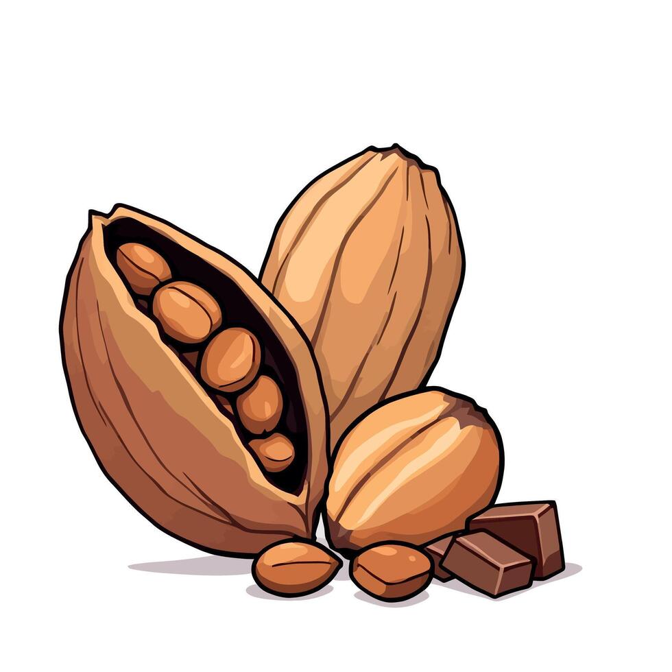 Peanuts and chocolate illustration vector