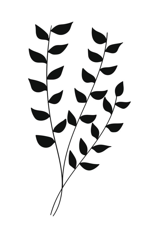 Botanical silhouette leaves illustration. vector