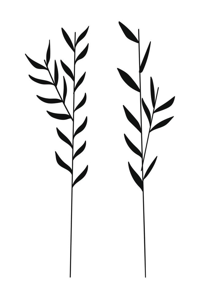 Silhouette spice rosemary sprigs in doodle style. illustration. vector
