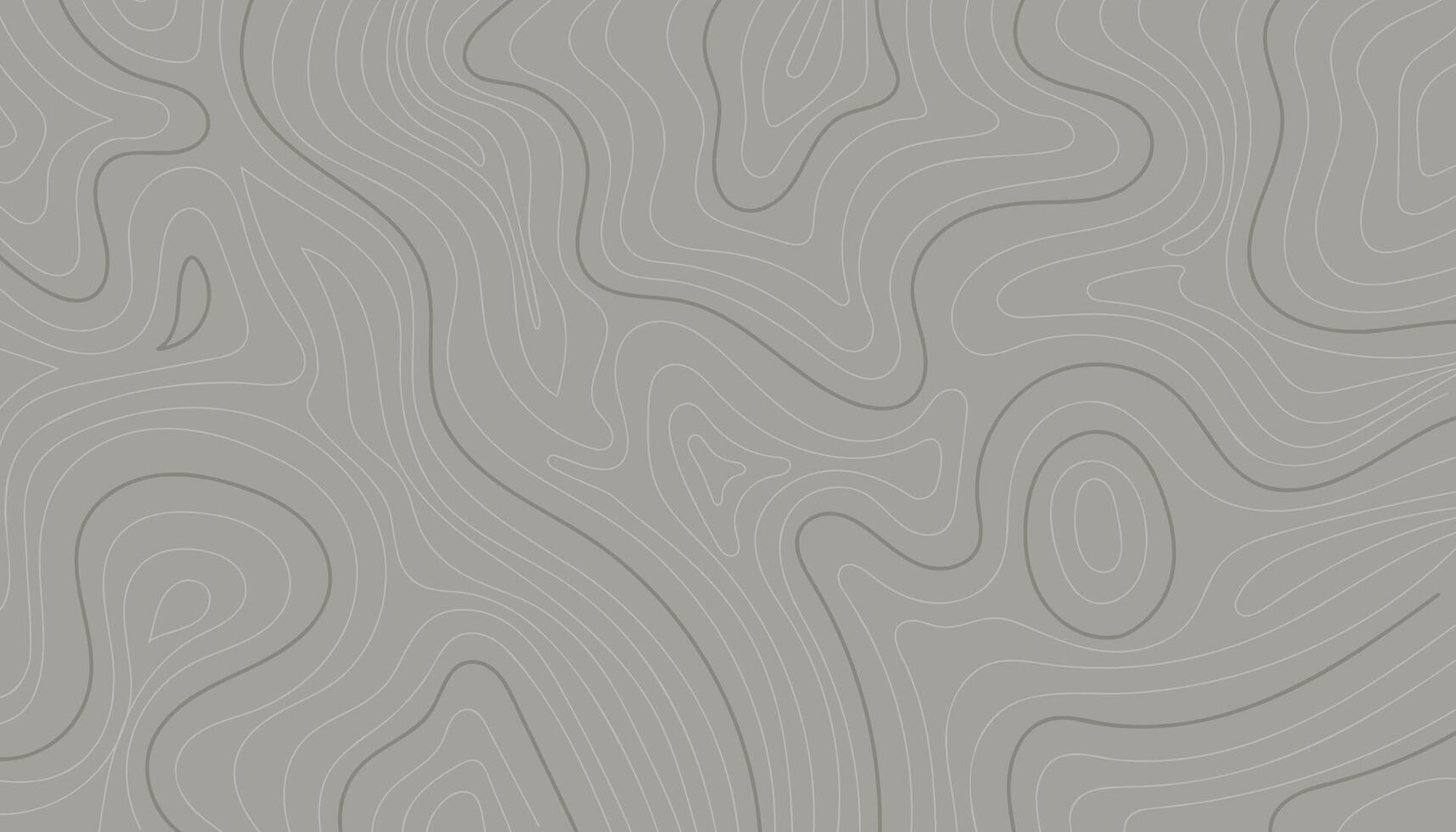 Abstract contour map on gray background. illustration. vector