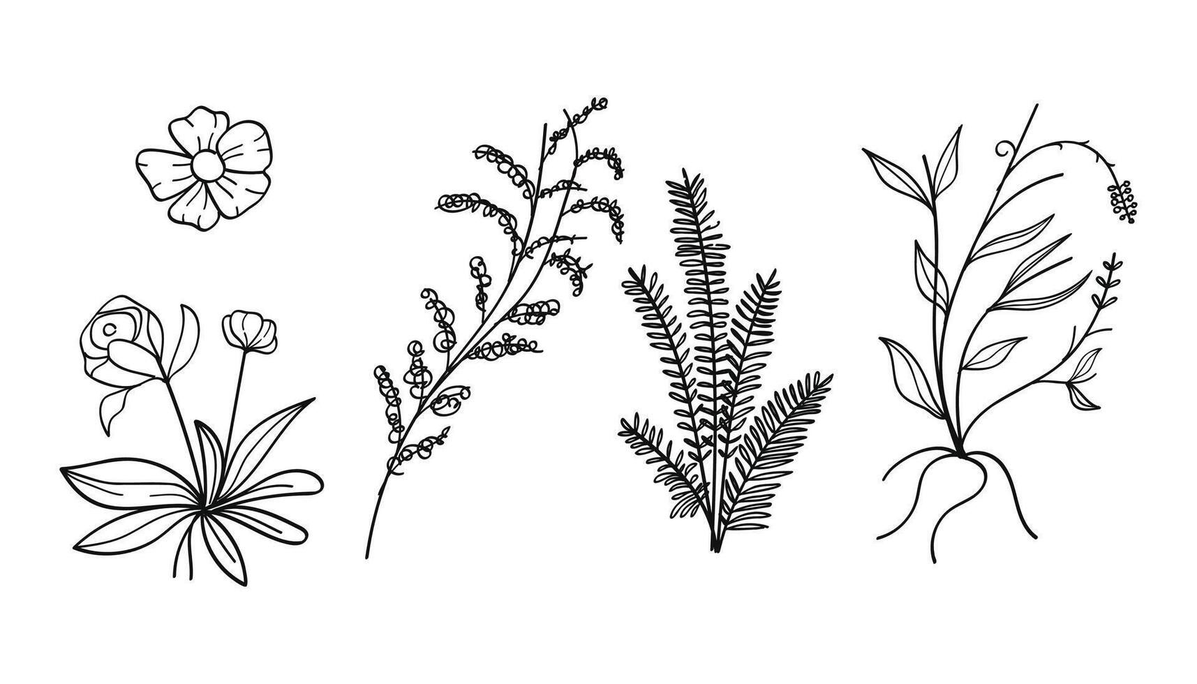 Botanical line art vintage with flowers bouquet and leaves wildflower collection. vector