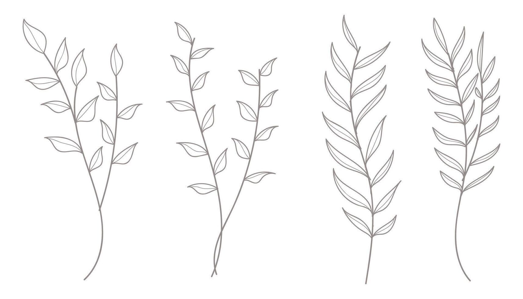 Botanical leaves line hand drawn collection. illustration. vector