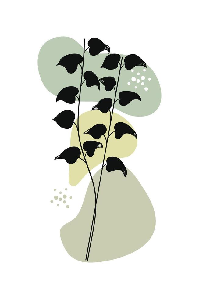 Contemporary botanical erythrina plant hand-drawn. illustration vector