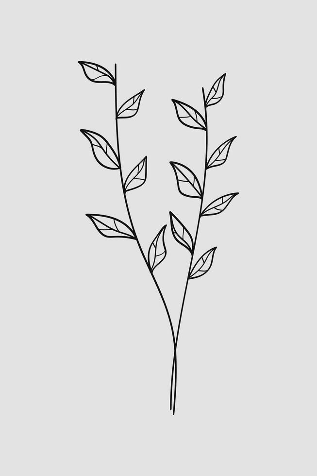 Nature plant line art hand drawn. illustration. vector