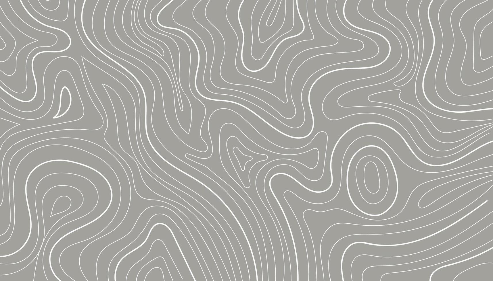 Abstract contour map isolated on gray background. illustration. vector