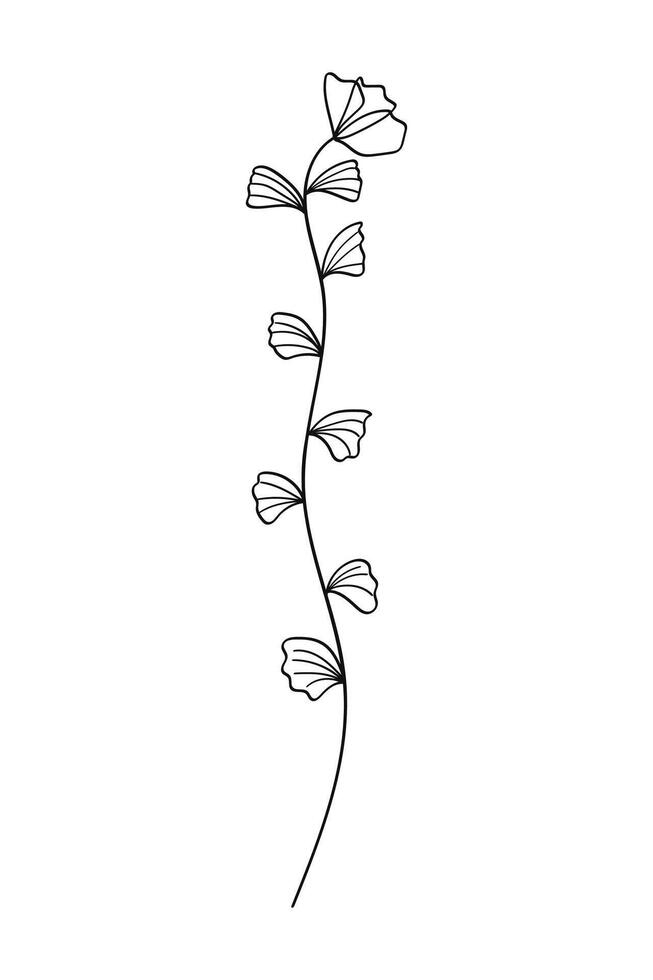 Linear plant branch hand drawing. illustration vector