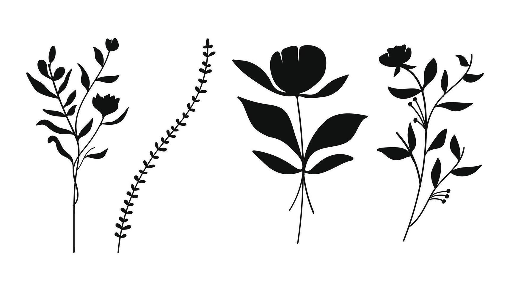 Silhouette botanical flowers and leaves. illustration. vector