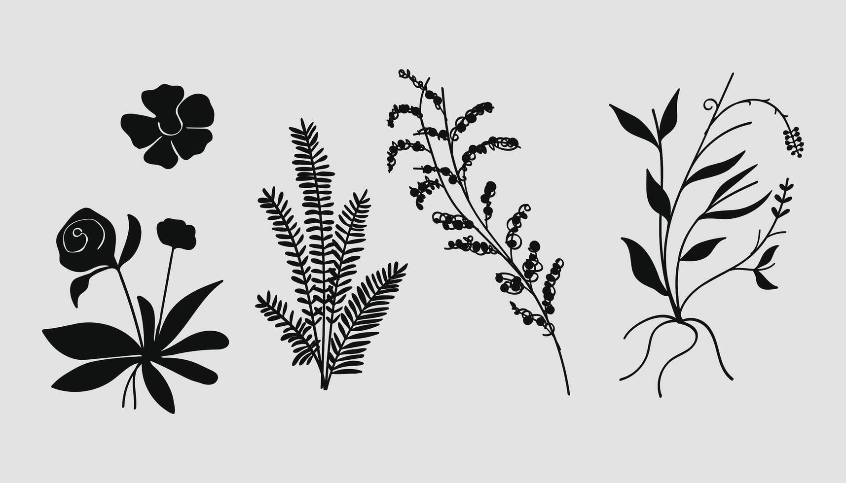 Silhouette botanical flowers and leaves. vector