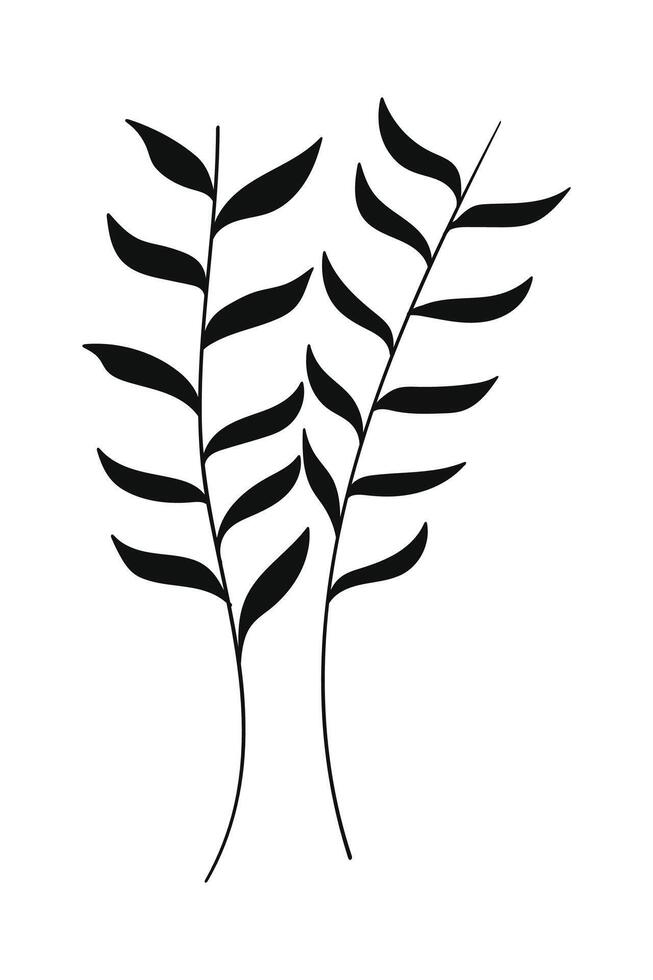 Silhouette botanical leaves isolated on white background. vector