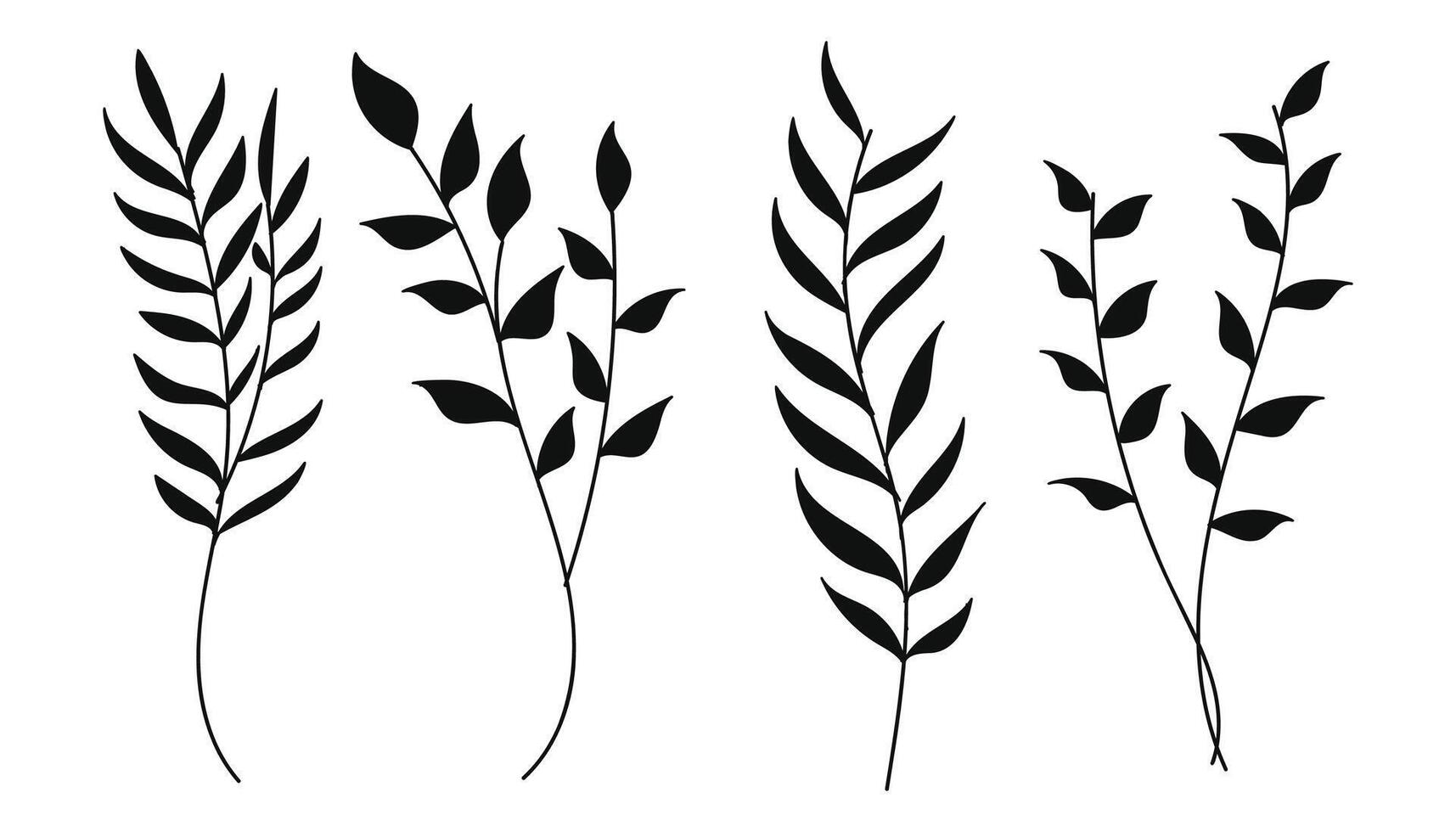 A collection of hand-drawn botanical floral silhouettes isolated on white background. illustration. vector