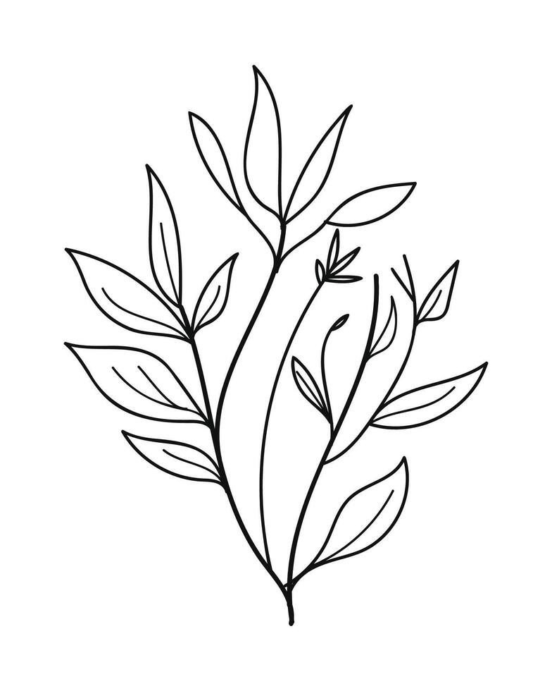 A black and white drawing of a plant with leaves vector