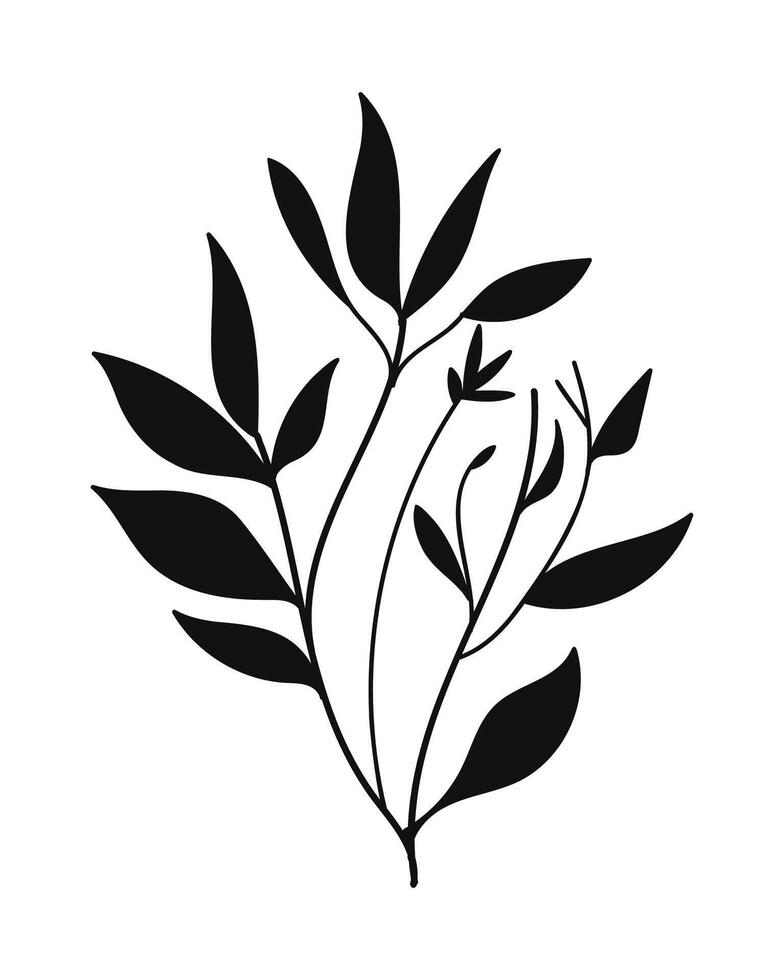 Silhouette botanical illustration. vector