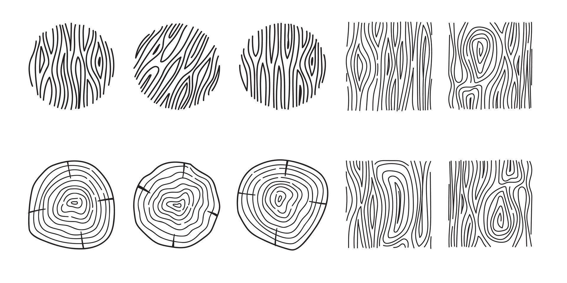 Minimalist Tree Rings and Wood Texture Line Art. Illustration. vector