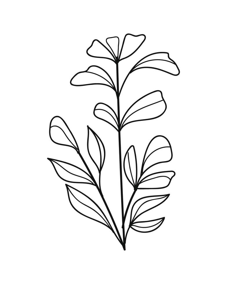 Botanical leaves line art hand drawn. illustration. vector