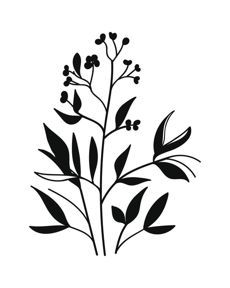 Silhouette botanical flowers illustration. vector