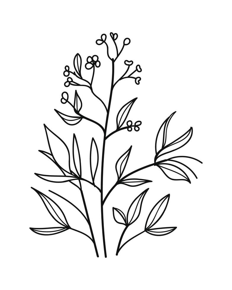 Twigs with Leaves in a Botanical Style.Illustration vector