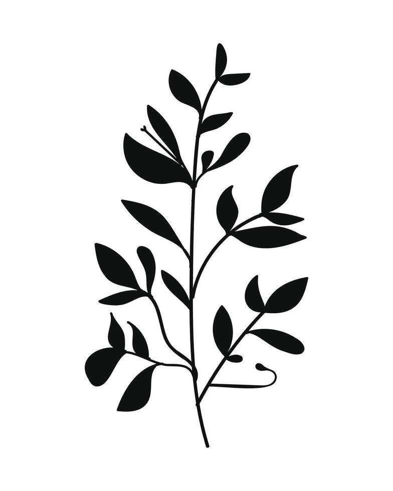Silhouette Twigs with Leaves in a Botanical Style. illustration. vector