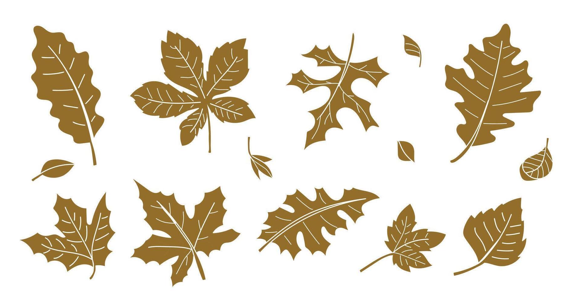 A collection of autumn leaves in brown silhouette style. illustration. vector