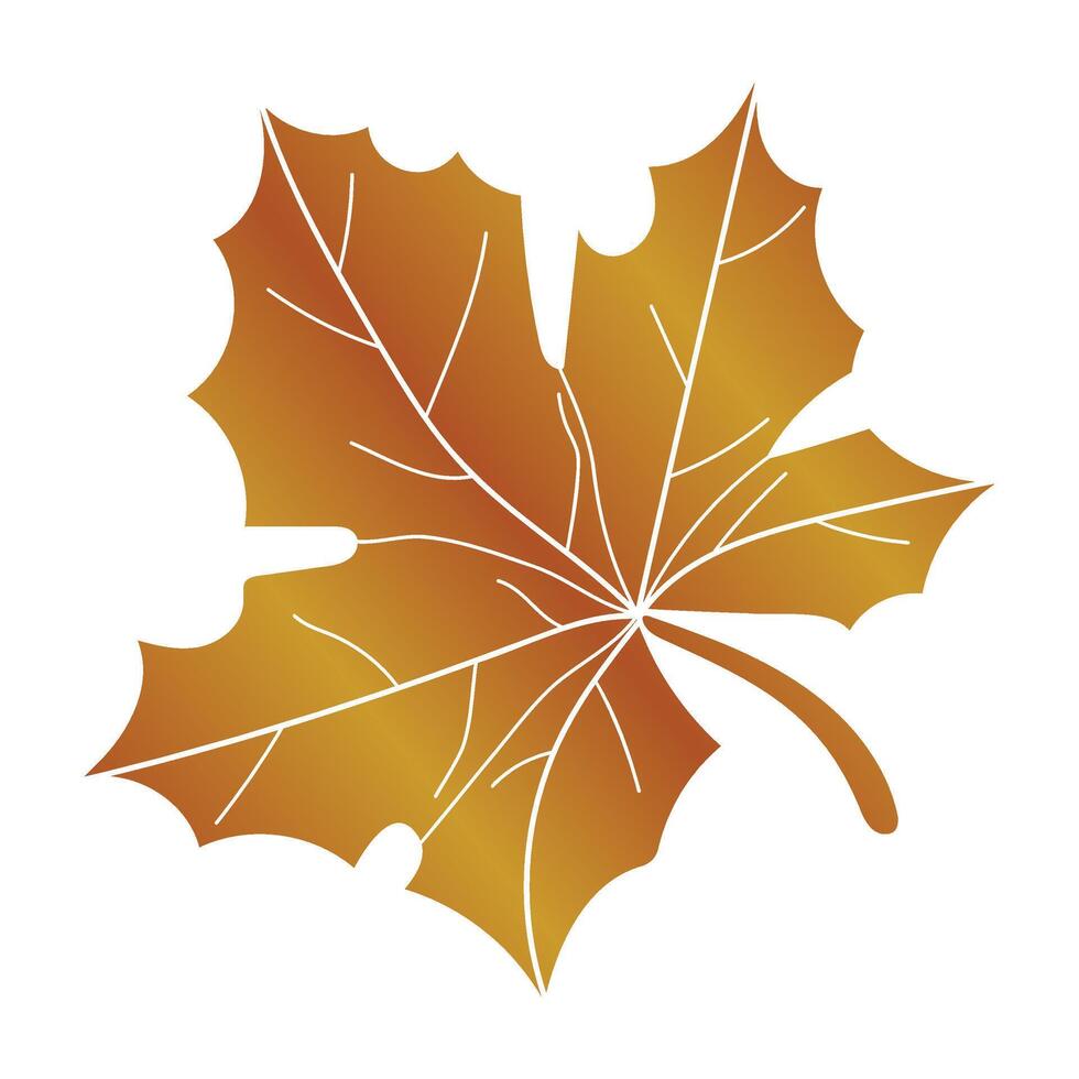 Autumn red maple leaf.Autumn maple leaf. illustration vector