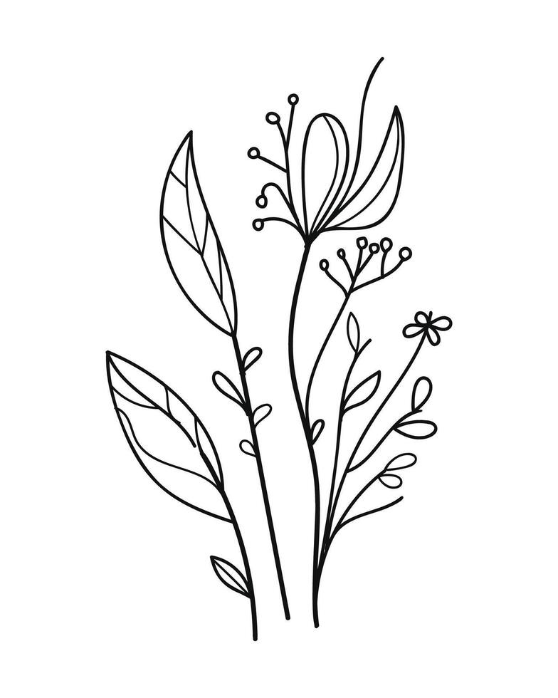 Branch of a plant with flowers and leaves. vector