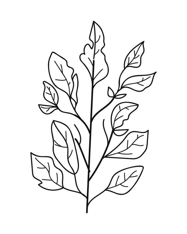 Doodle plant with leaves.Botanical . vector
