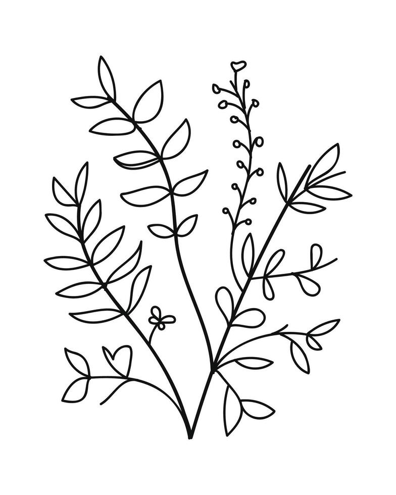 Tropical floral line art. Design element with tropical and floral theme. vector