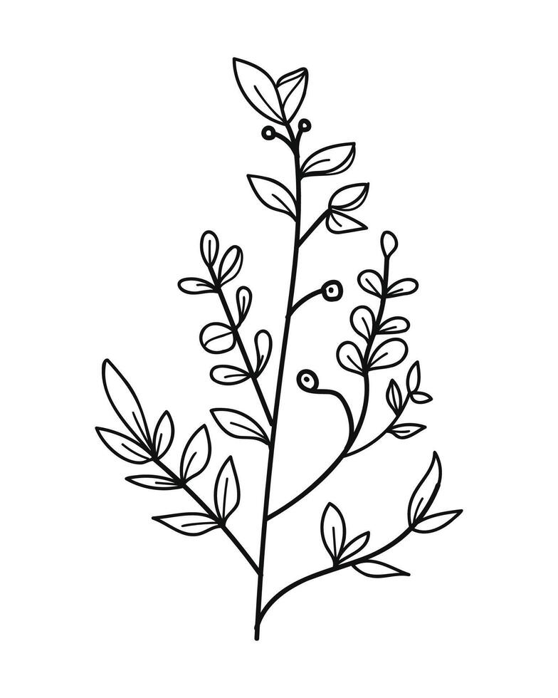 Branch of a plant with flowers and leaves. Hand drawn illustration. vector
