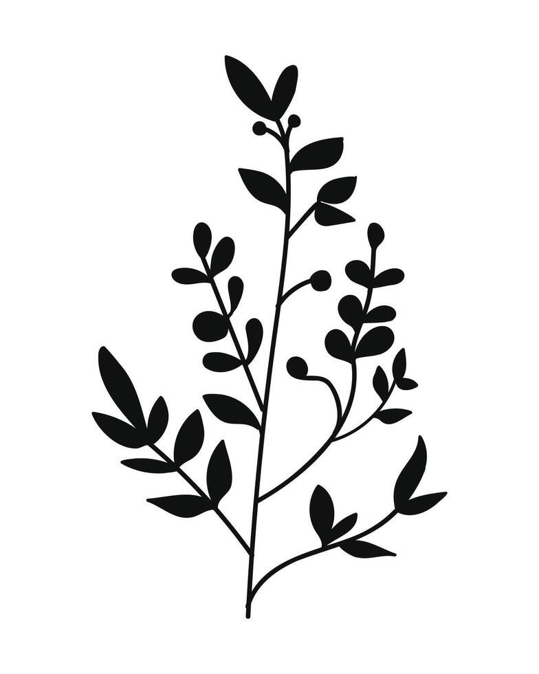 Silhouette Twigs with Leaves in a Botanical Style vector