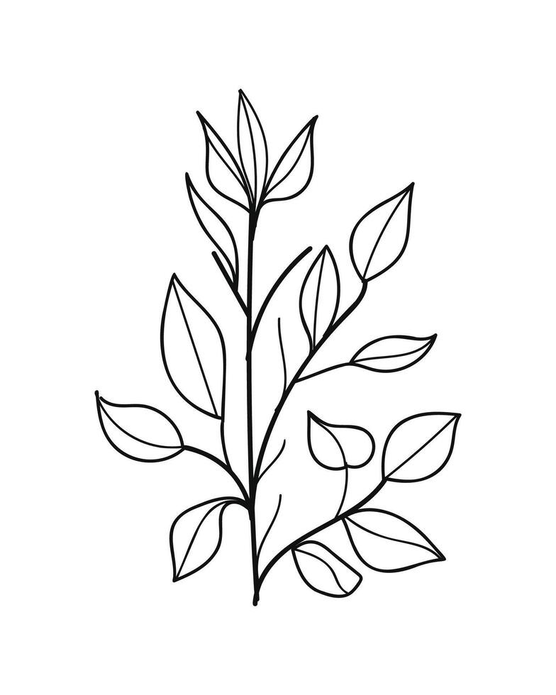 Hand Drawn Twigs with Leaves in a Botanical Style. vector