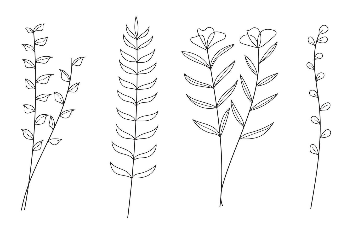 Twigs with leaves hand drawn botanical collection. illustration vector