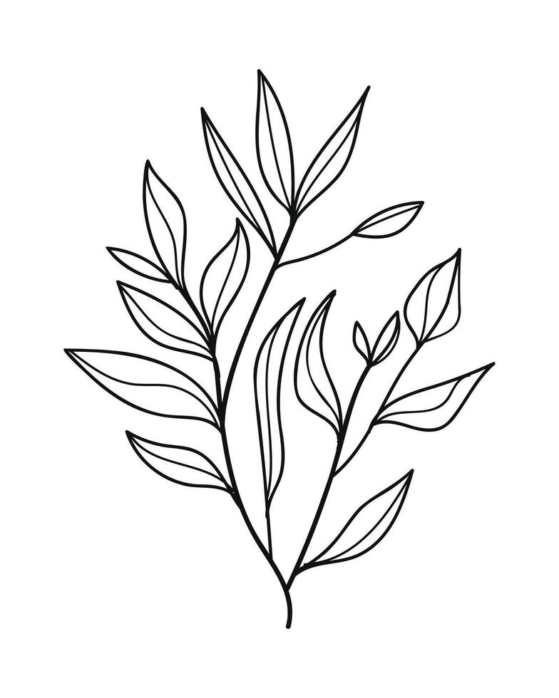 Tropical floral line art. Design element with tropical and floral theme. illustration. vector