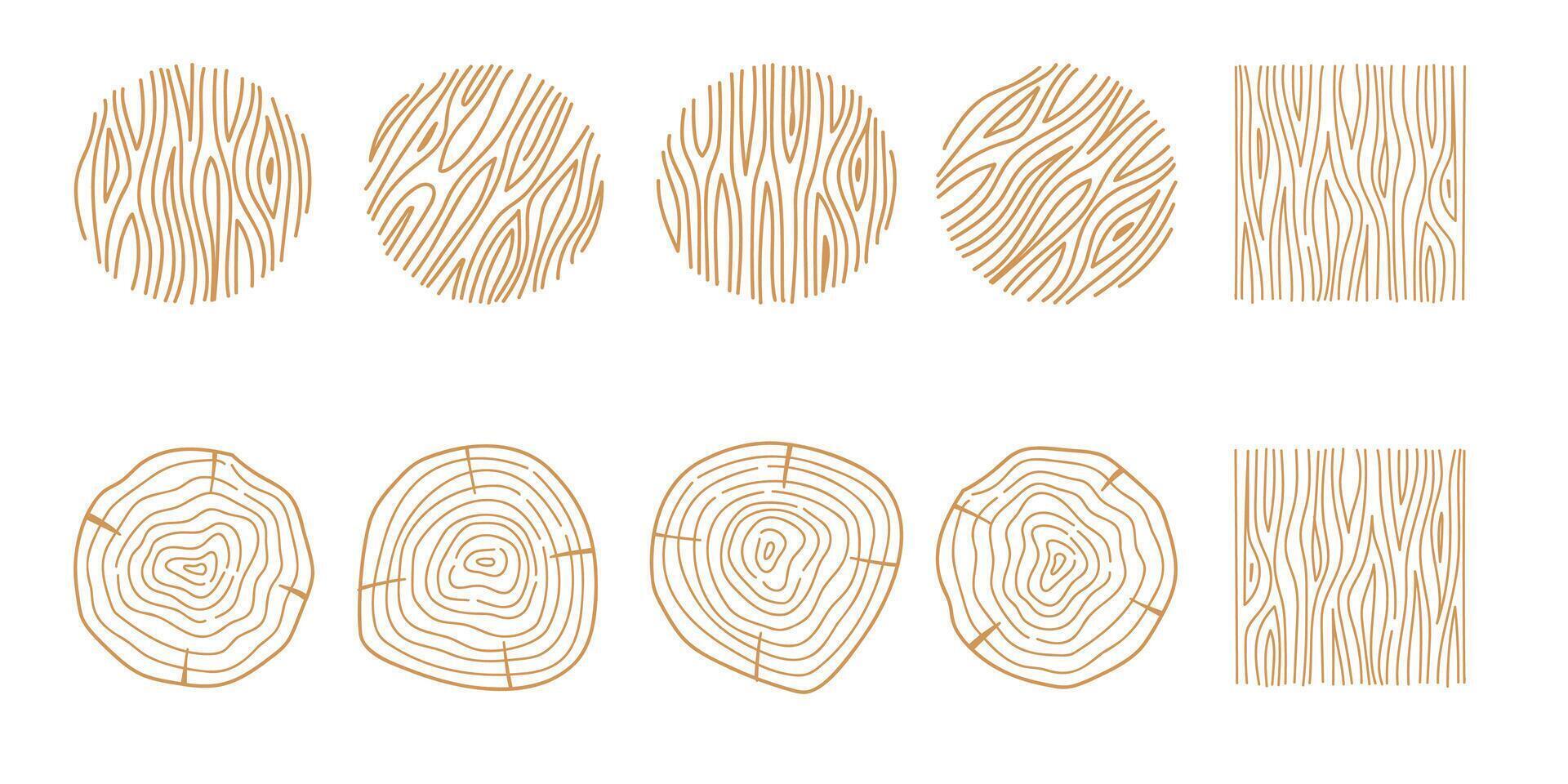 Minimalist Tree Rings and Wood Texture Line Art Illustration. vector