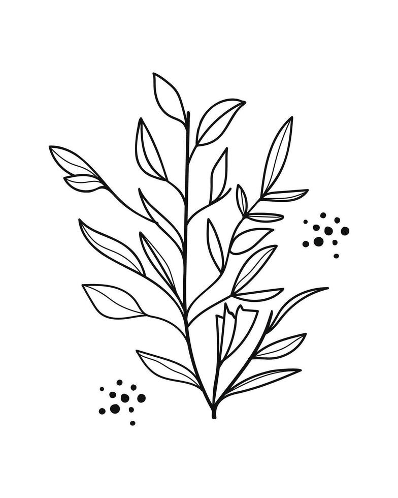 Twigs with Leaves in a Botanical hand drawn. illustration vector