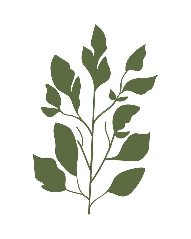 Green botanical leaves and branch. illustration vector