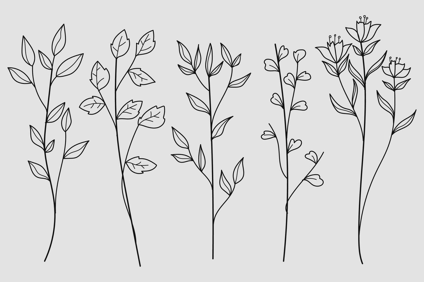 Hand-Drawn Twigs with Leaves in a Botanical collection. illustration vector